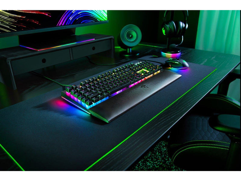Razer BlackWidow V4 - Green Mechanical (Clicky) - Gaming Tastatur - Full-Size - Französisch - Schwarz