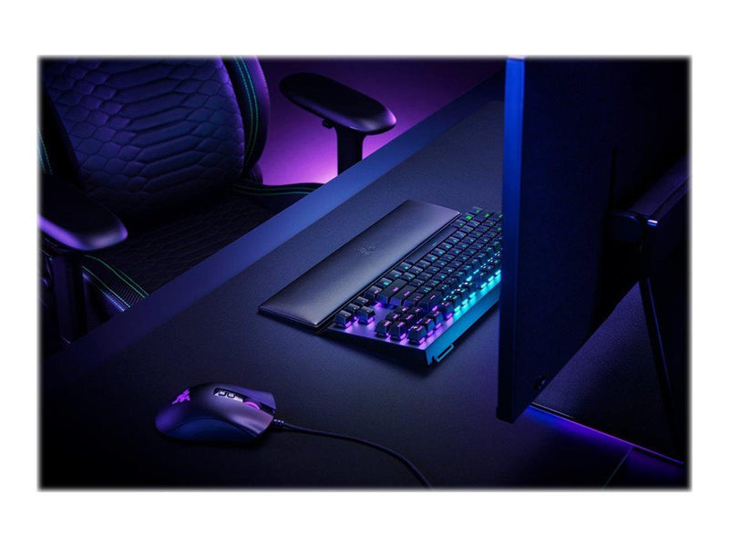 Razer Standard Edition