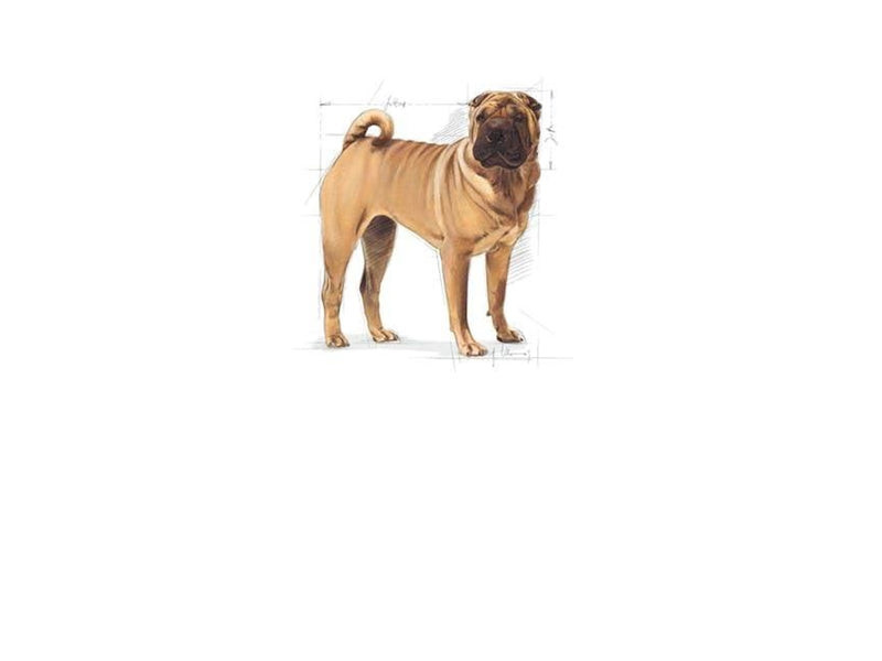 Royal CANINE ADULT DERMACOMFORT MEDIUM 12 kg
