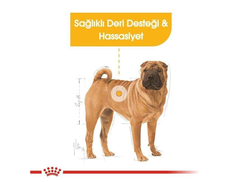 Royal CANINE ADULT DERMACOMFORT MEDIUM 12 kg
