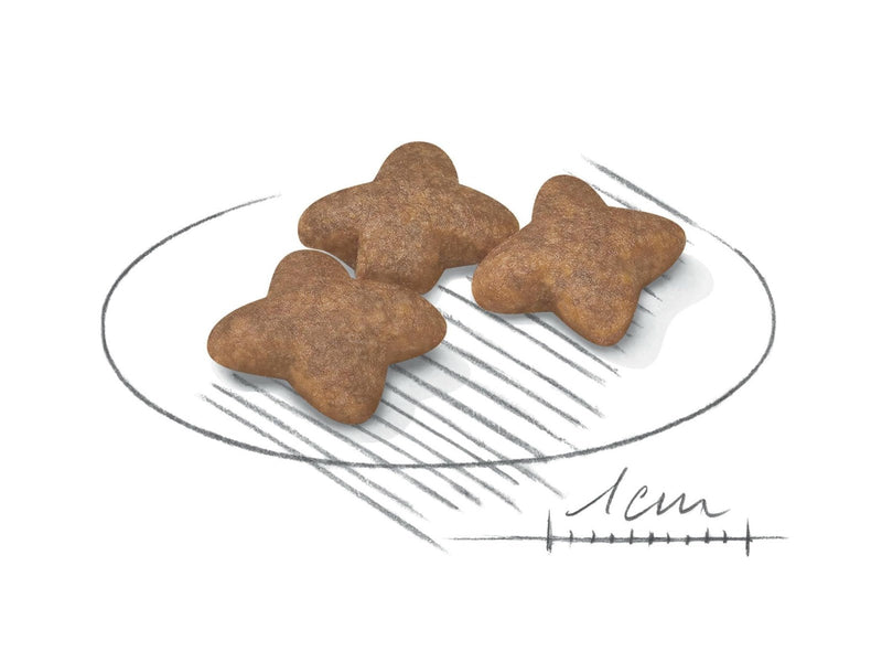 Royal CANINE ADULT Mini 8 kg