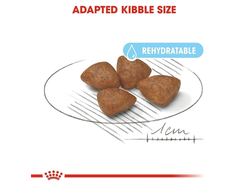 Royal CANINE STARTER Mini 4 kg