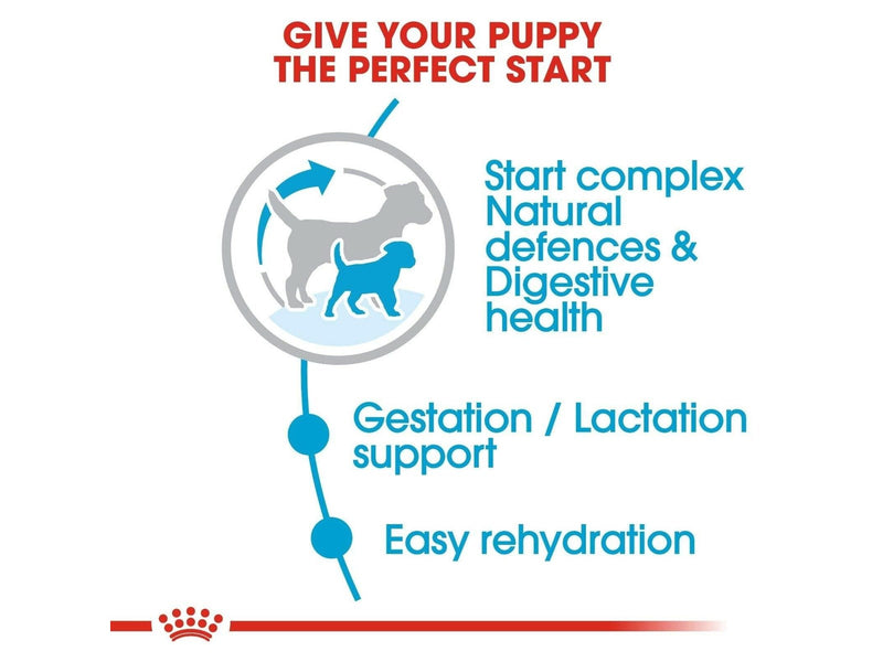 Royal CANINE STARTER Mini 4 kg