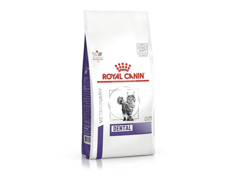 Royal Canin Dental - dry cat food - 1,5kg