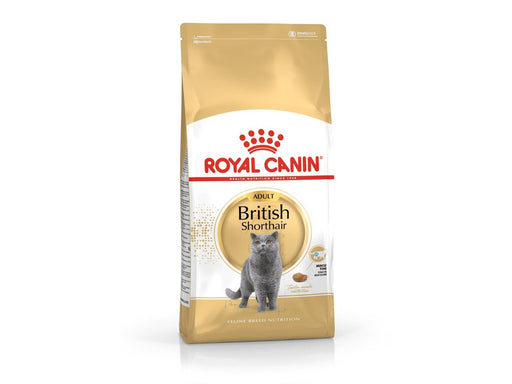 Royal Canin FBN British Shorthair Adult dry cat food - 10 kg