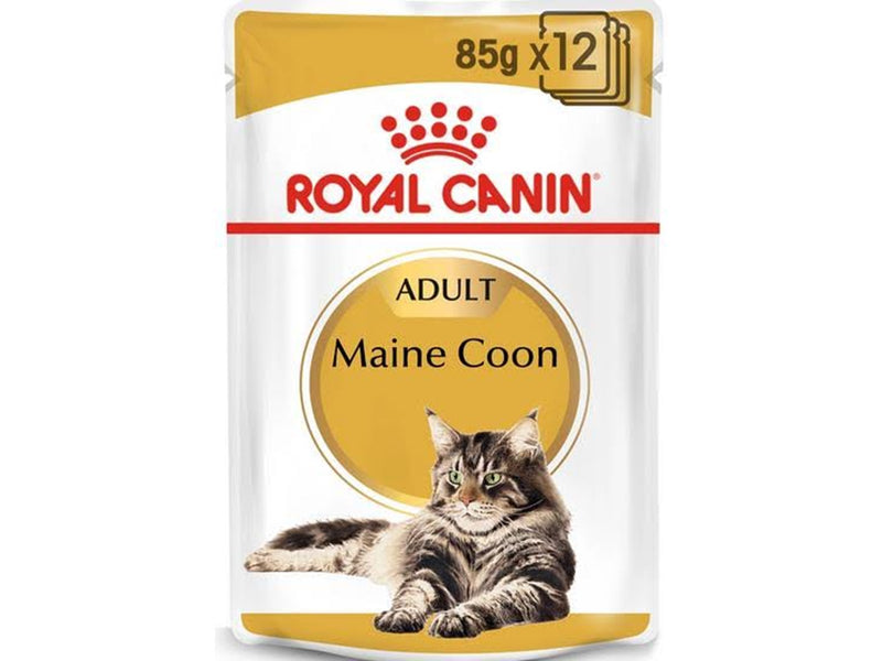 Royal Canin FBN Maine Coon - Cat wet food - sachet 12x 85g