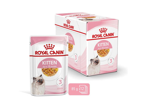 Royal Canin FHN Kitten Instinctive in jelly - wet food for kittens - 12x85g