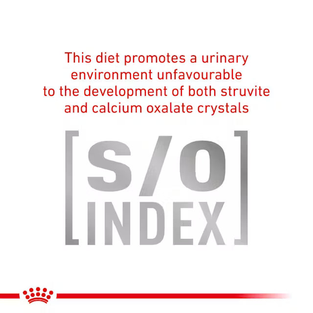 Royal Canin Gastrointestinal Dünne Scheiben in Soße 85 g (12er-Pack)