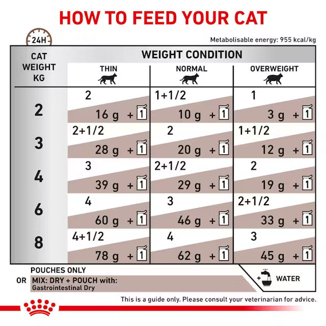 Royal Canin Gastrointestinal Dünne Scheiben in Soße 85 g (12er-Pack)