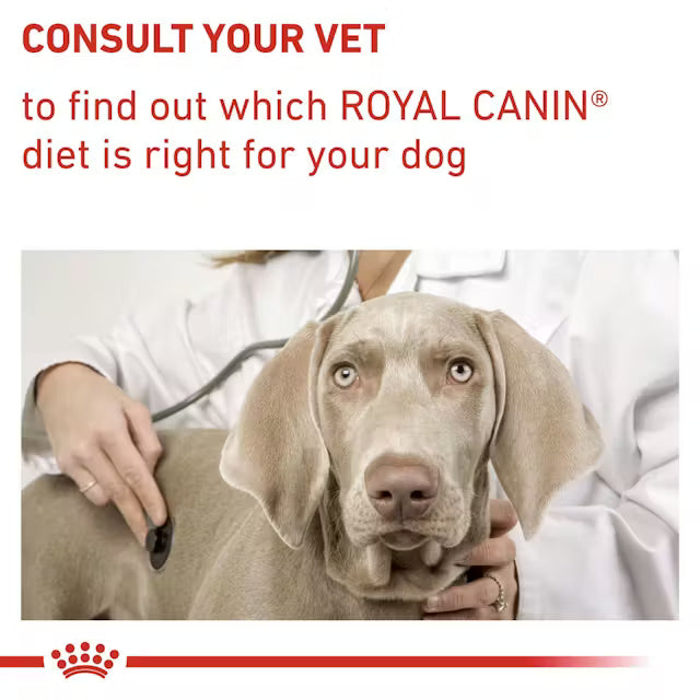 Royal Canin Health Adult Small Dog 2kg