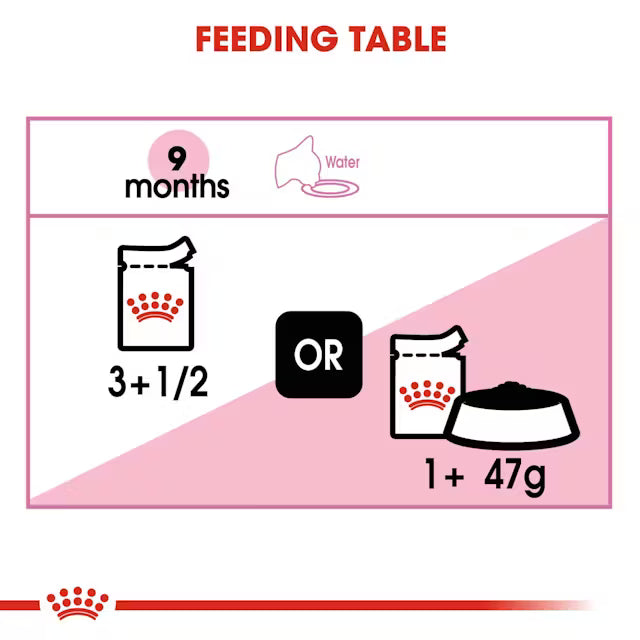 Royal Canin Kitten Sterilised Jelly 12 × 85 g