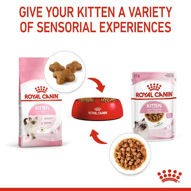 Royal Canin Kitten in Gravy 85g (12-Pack)