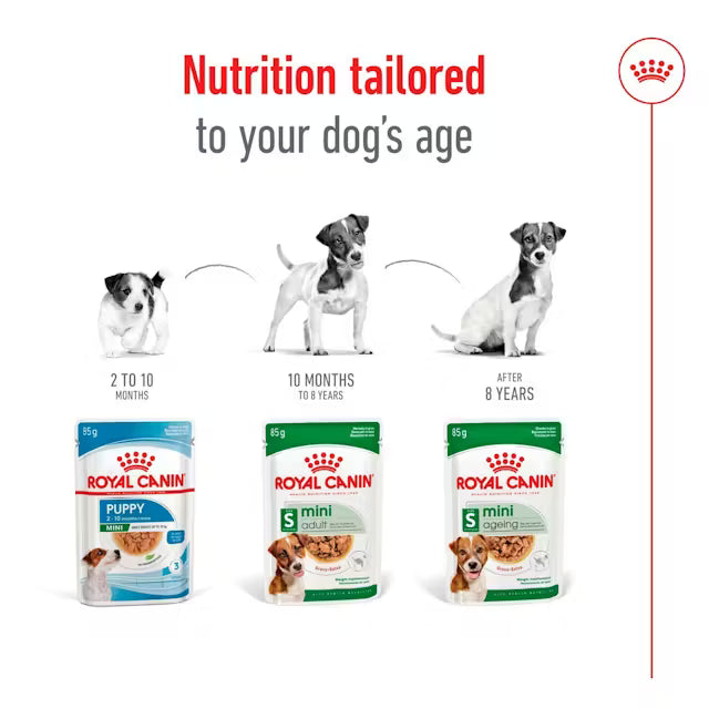 Royal Canin Mini Ageing Chunks in Gravy 85g (12-Pack)