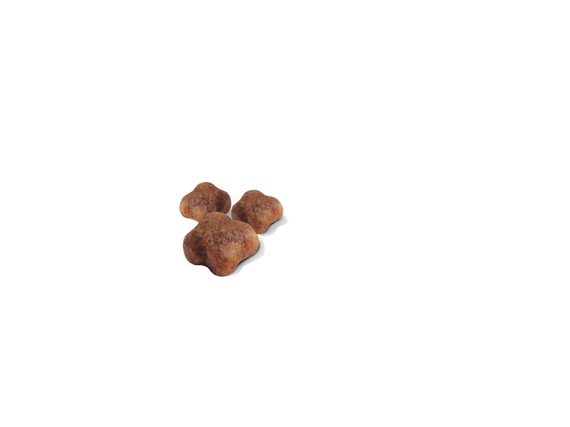 Royal Canin Mother & Babycat 400g