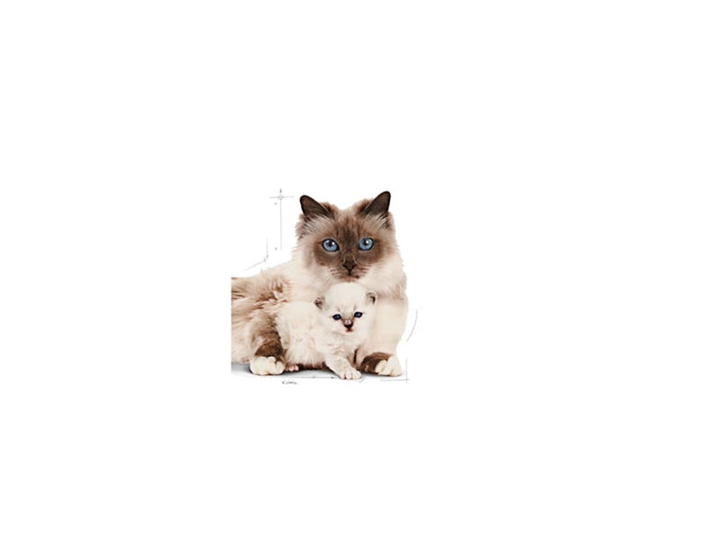 Royal Canin Mother & Babycat 400g
