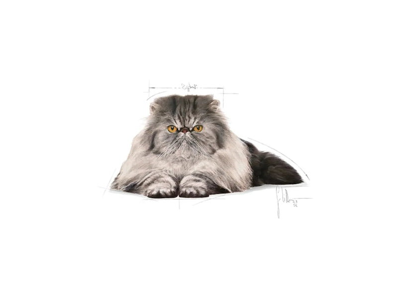 Royal Canin Persian Adult 2kg