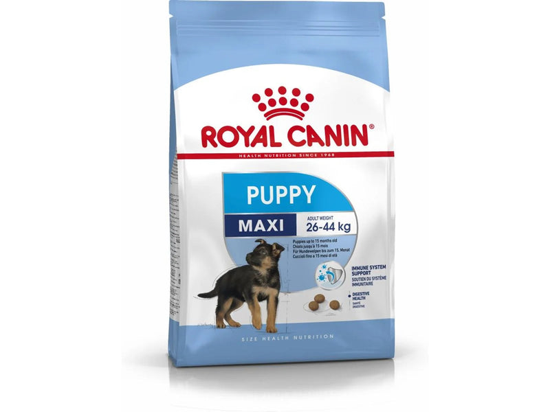 Royal Canin SHN Maxi Puppy - dry puppy food - 4kg