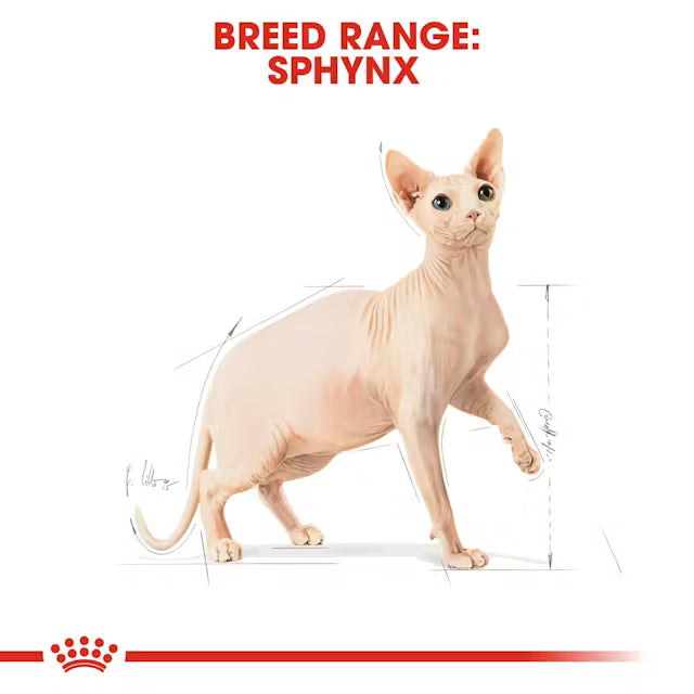 Royal Canin Sphynx Adult 2kg