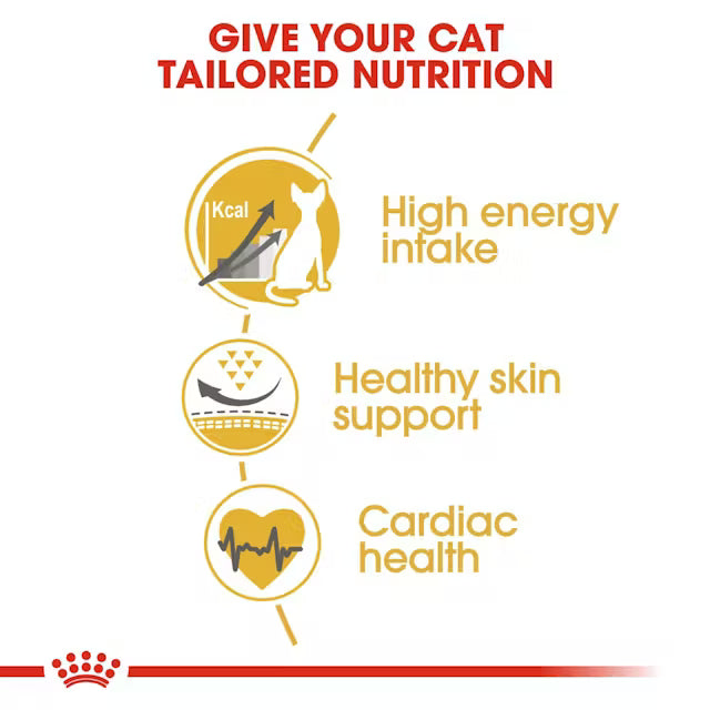 Royal Canin Sphynx Adult 2kg