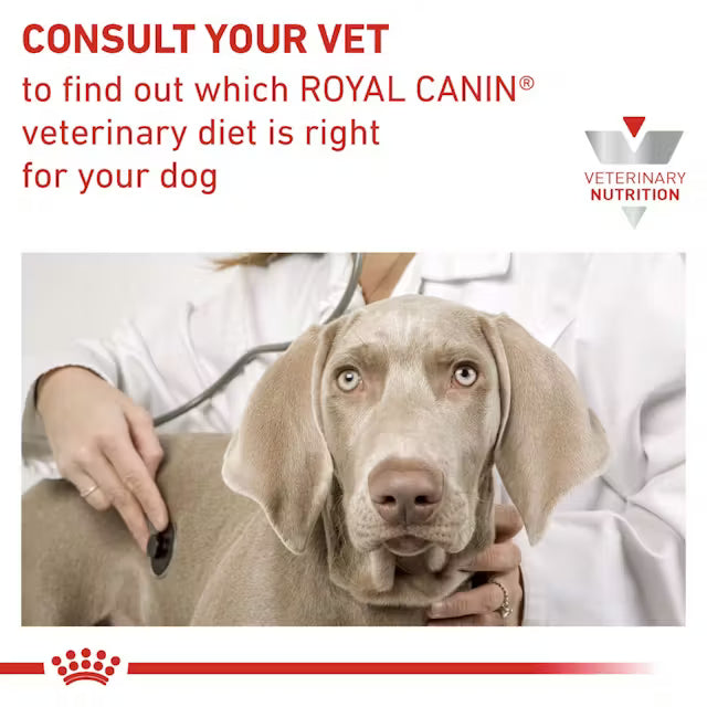 Royal Canin Urinary S/O Small Dog 1.5kg