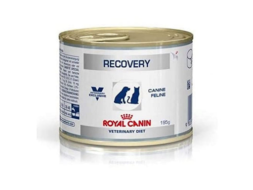 Royal VET CANINE RECOVERY Box of 12 x 195 g