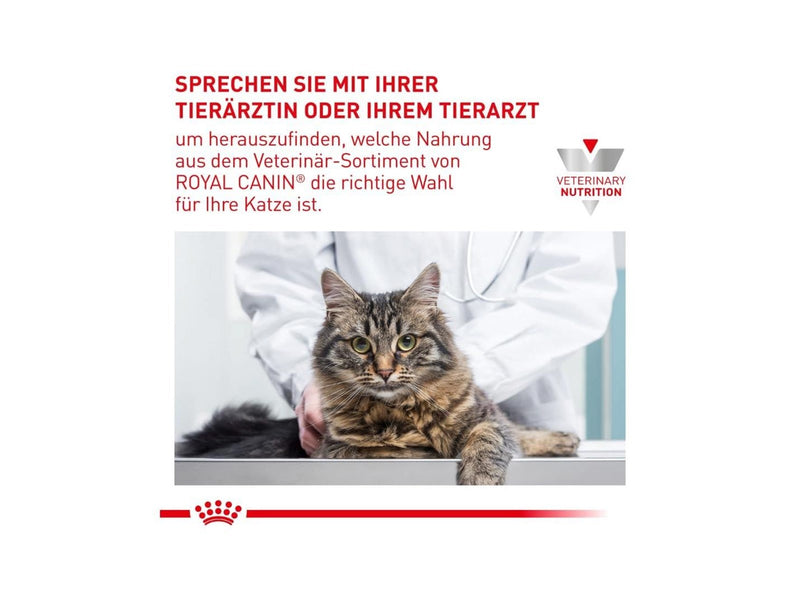 Royal VET FELINE GASTRO INTESTINAL KITTEN PATÉ 12 x 195