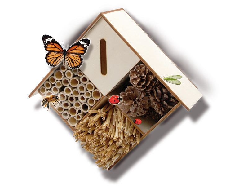 SES Creative Insect Hotel Crafts