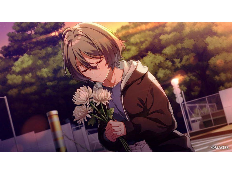 SINce Memories: Off the Starry Sky - Nintendo Switch - Visual Novel - PEGI 16
