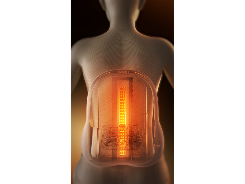 SKG Lower Back Massager TS700