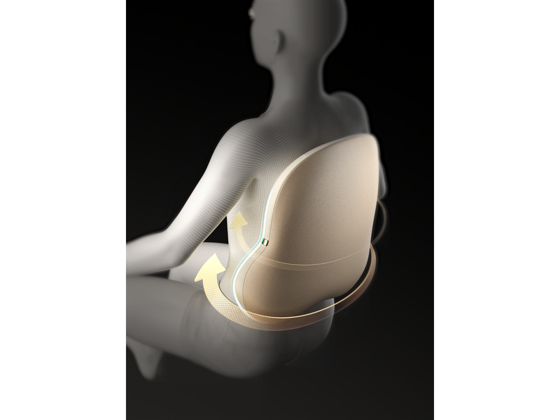 SKG Lower Back Massager TS700