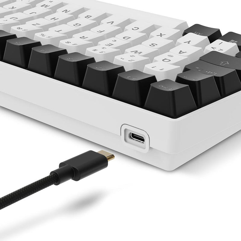 Sharkoon SKILLER SGK50 S2 White Gaming-Tastatur, Gateron Brown