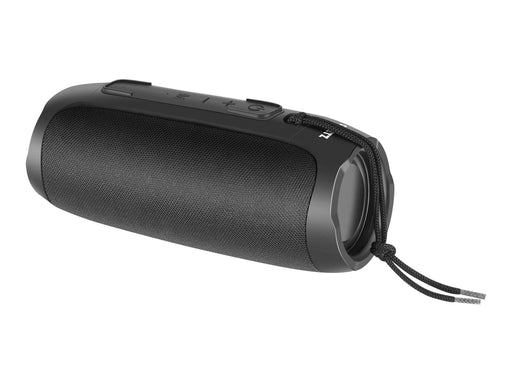 STREETZ S350 - speaker - for portable use - wireless