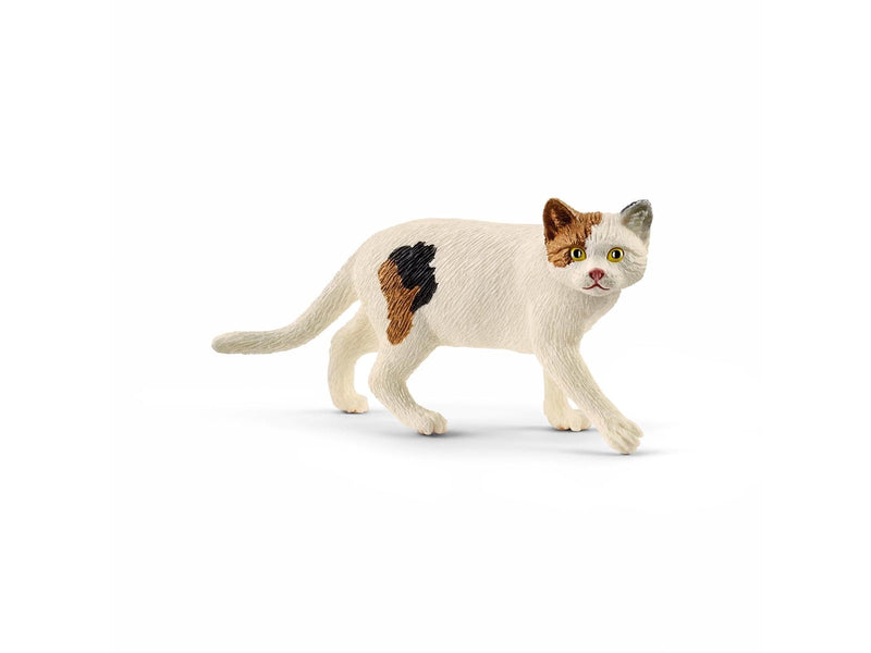 Schleich Amerikanische Kurzhaarkatze