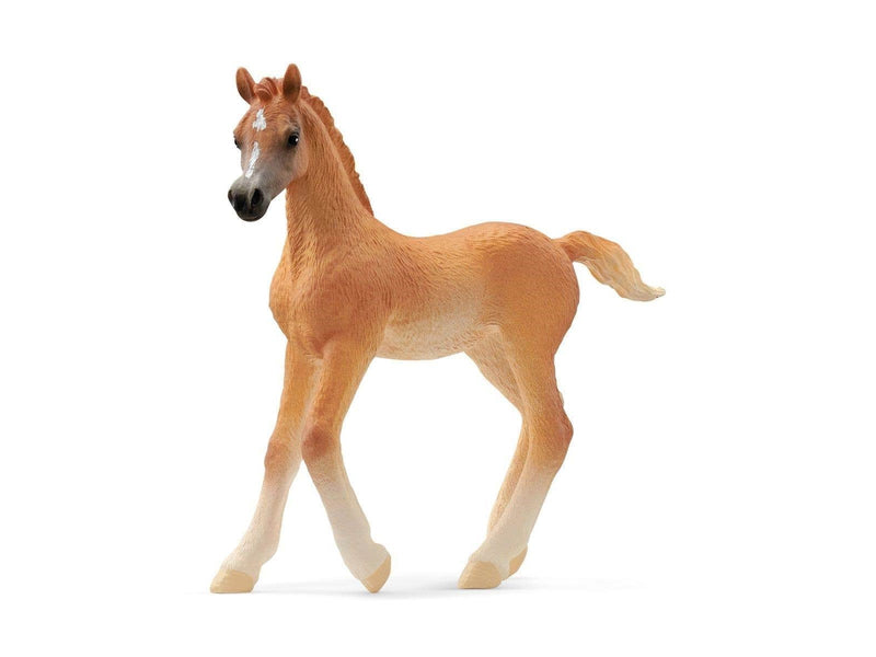 Schleich Arabisches Fohlen