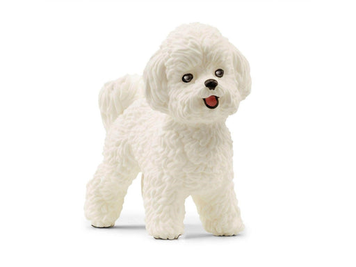 Schleich Bichon Frisé