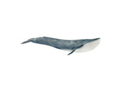 Schleich Blauer Wal