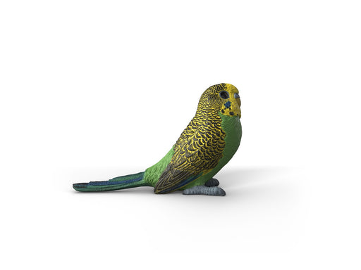 Schleich Budgie