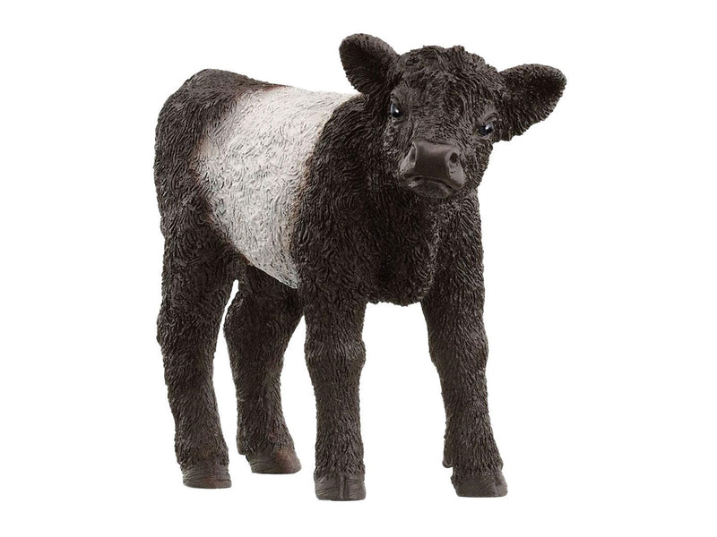 Schleich Galloway-Kalb