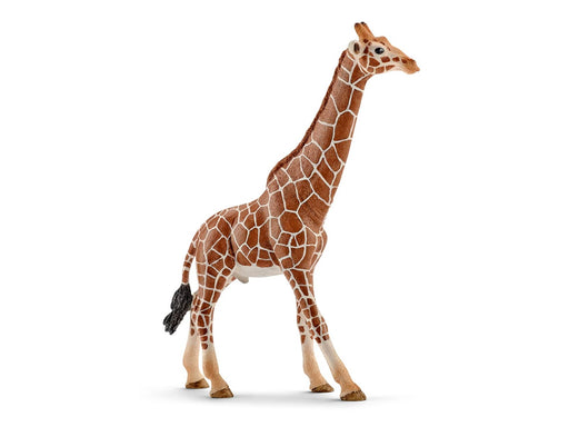 Schleich Giraffe männlich