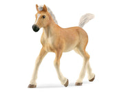 Schleich Haflinger Fohlen