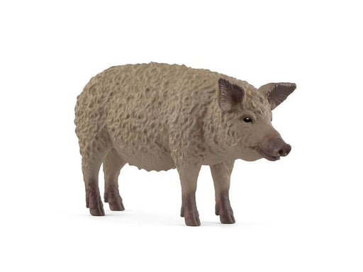 Schleich Mangalitza