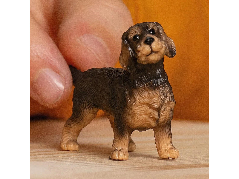 Schleich Rauhaardackel