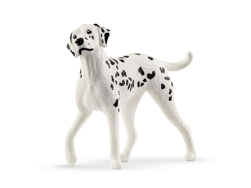 Schleich Reitplatz