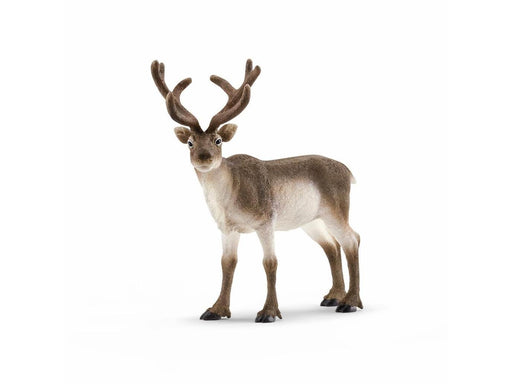 Schleich Rentier
