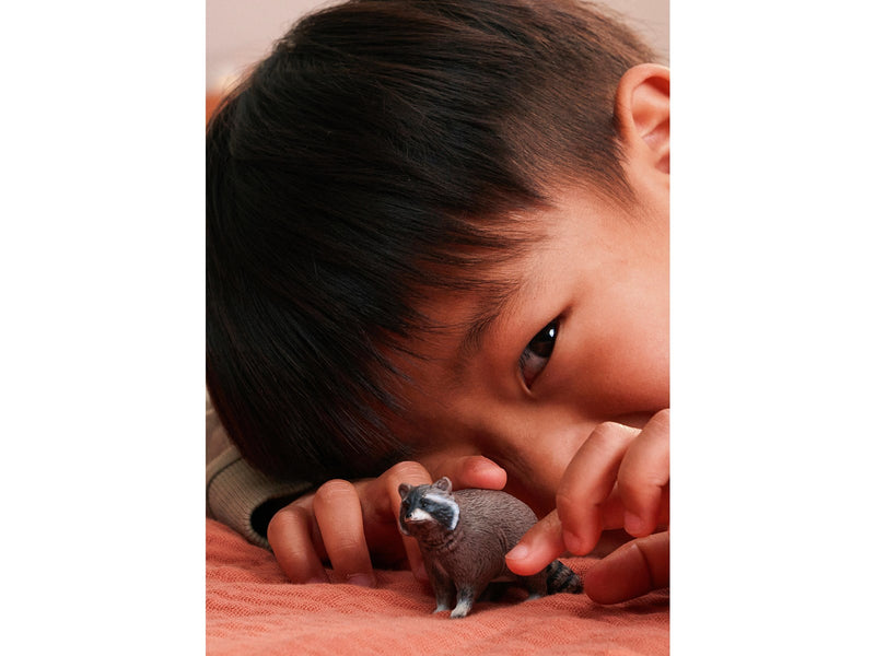 Schleich Waschbär