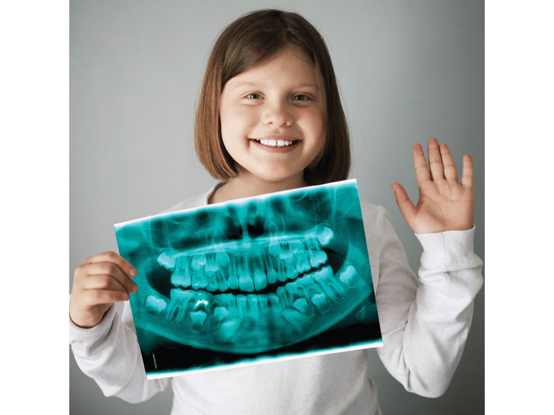 Science4you My First Dentist Kit