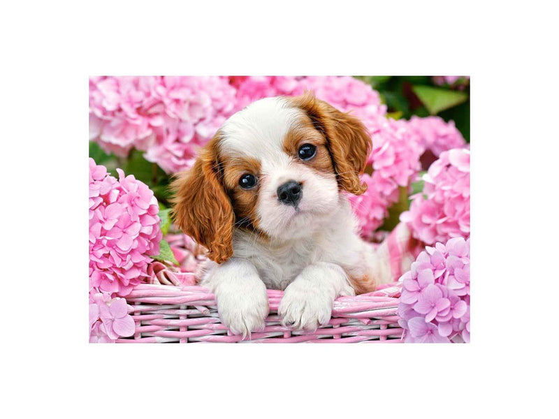 Selecta Play - Castorland Jigsaw Puzzle Puppy in pink flowers 500 pcs