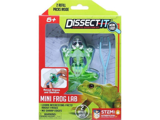 Sensory Compounds Frog In Giftbox