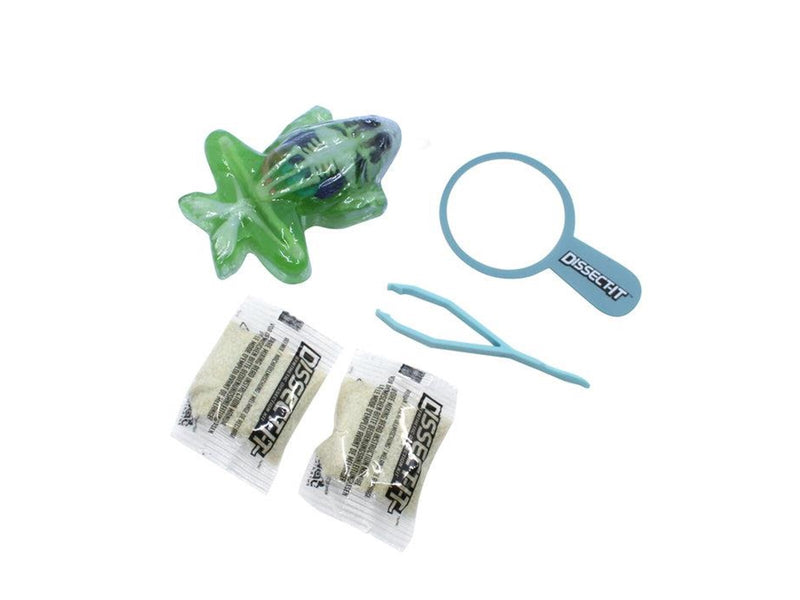 Sensory Compounds Frog In Giftbox