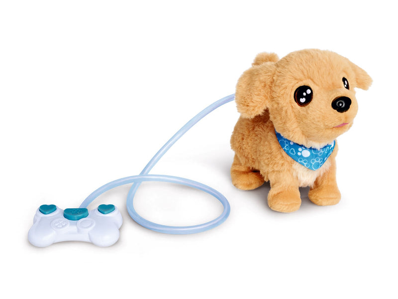 Simba CCL Loomy Golden Retriever